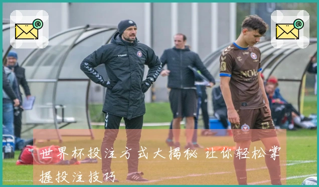 世界杯投注方式大揭秘 让你轻松掌握投注技巧