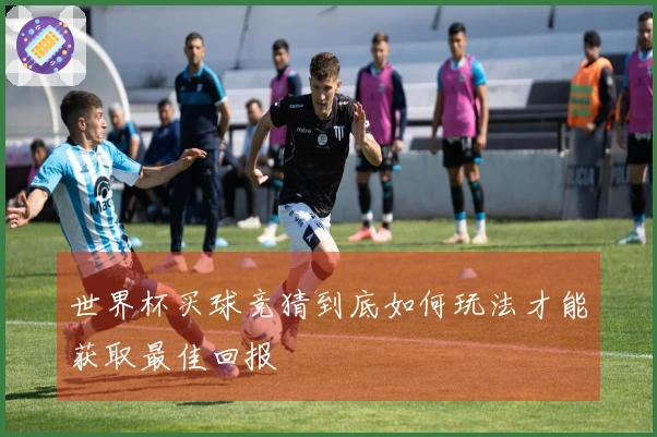 世界杯买球竞猜到底如何玩法才能获取最佳回报