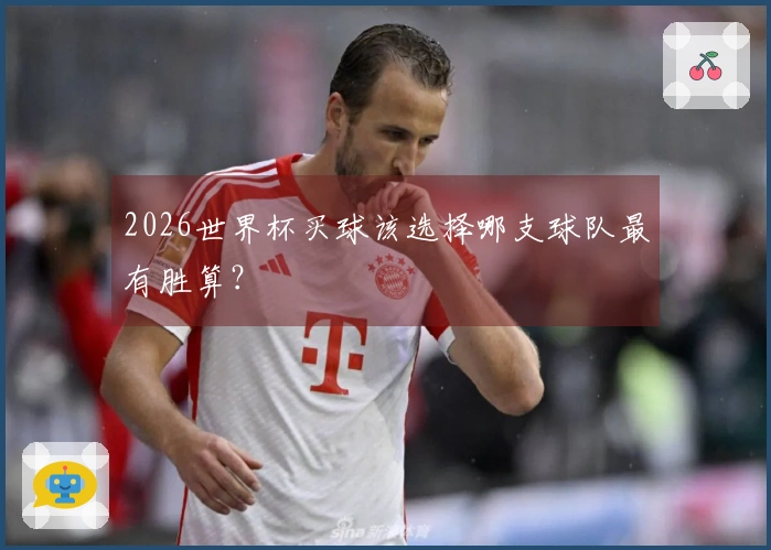 2026世界杯买球该选择哪支球队最有胜算？