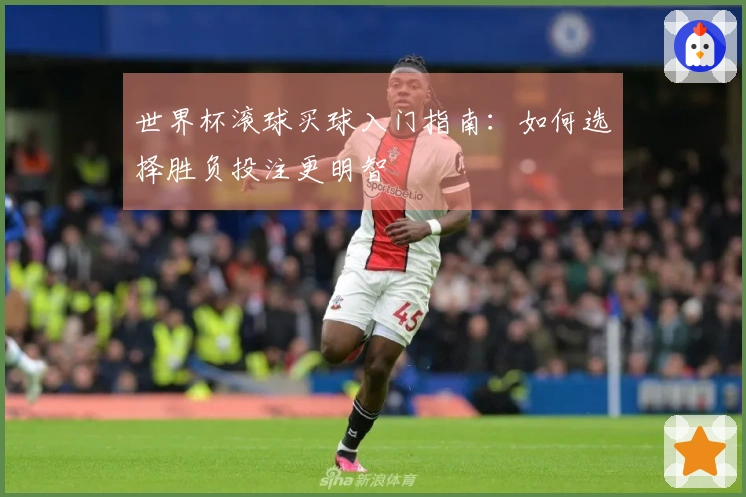 世界杯滚球买球入门指南：如何选择胜负投注更明智