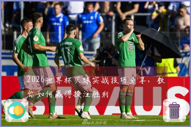 2026世界杯买球实战技巧分享，教你如何赢得投注胜利