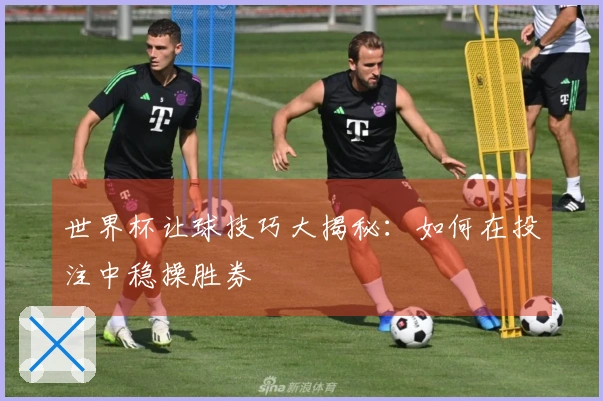 世界杯让球技巧大揭秘：如何在投注中稳操胜券