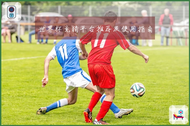 世界杯竞猜平台推荐及使用指南