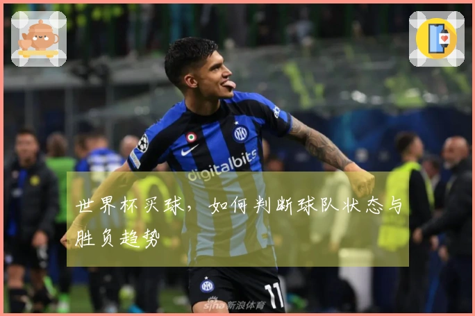 世界杯买球，如何判断球队状态与胜负趋势