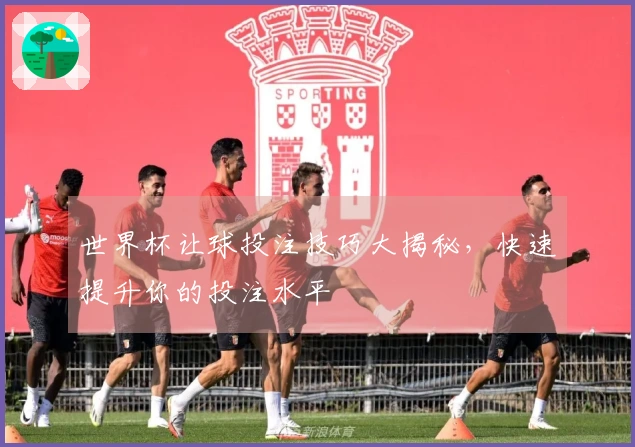 世界杯让球投注技巧大揭秘，快速提升你的投注水平