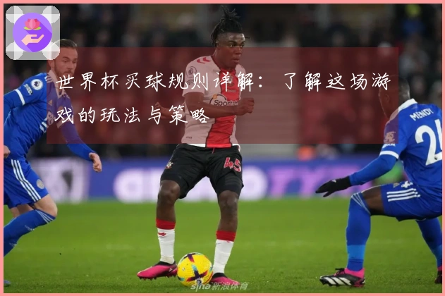 世界杯买球规则详解：了解这场游戏的玩法与策略