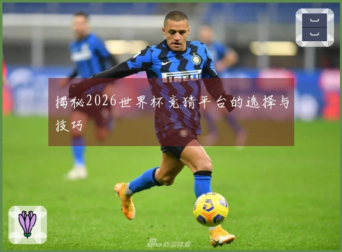 揭秘2026世界杯竞猜平台的选择与技巧