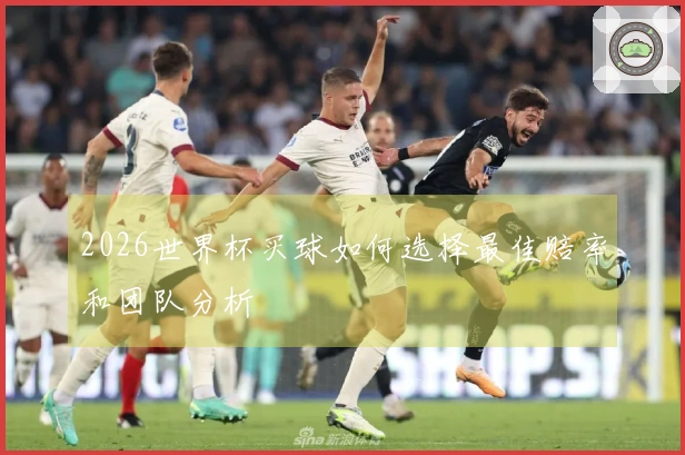 2026世界杯买球如何选择最佳赔率和团队分析