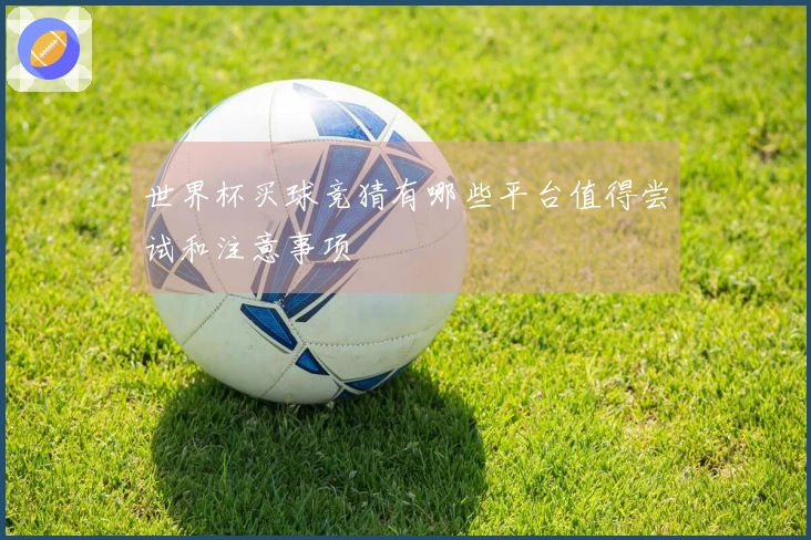 世界杯买球竞猜有哪些平台值得尝试和注意事项