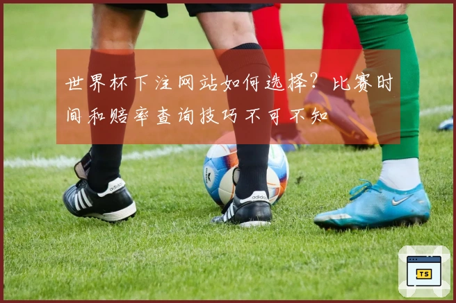 世界杯下注网站如何选择？比赛时间和赔率查询技巧不可不知