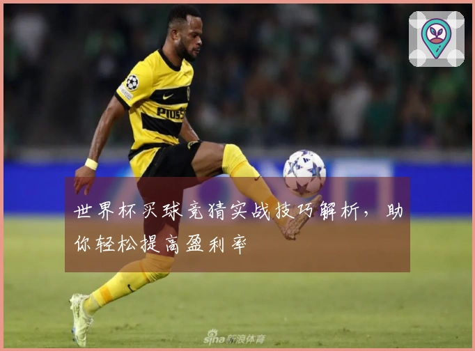 世界杯买球竞猜实战技巧解析，助你轻松提高盈利率
