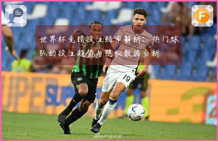 世界杯竞猜投注赔率解析：热门球队的投注趋势与隐秘数据分析