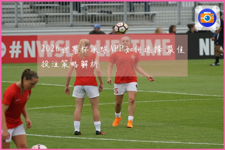 2026世界杯滚球APP如何选择 最佳投注策略解析