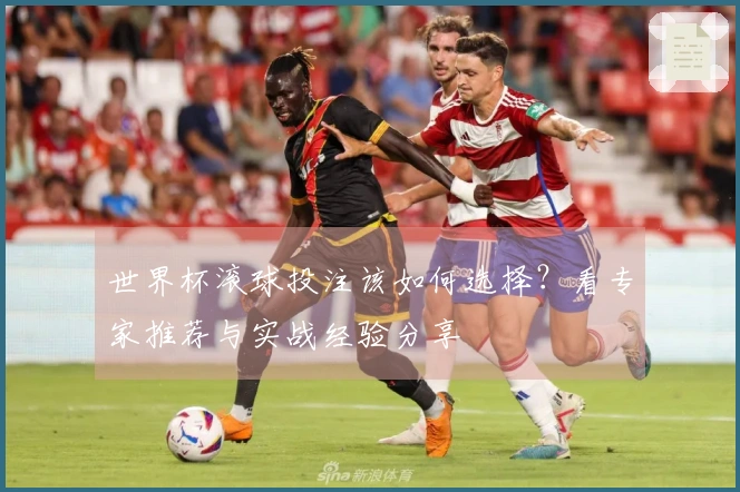 世界杯滚球投注该如何选择？看专家推荐与实战经验分享