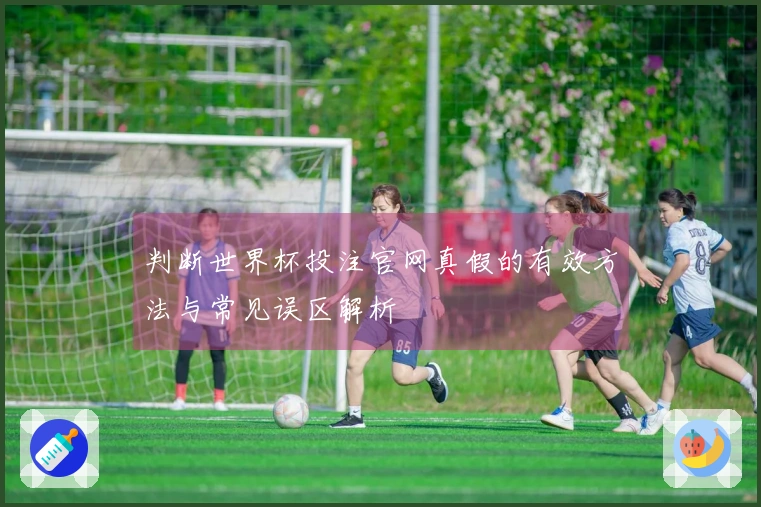判断世界杯投注官网真假的有效方法与常见误区解析