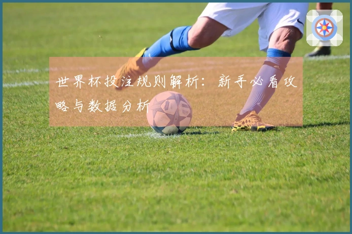 世界杯投注规则解析：新手必看攻略与数据分析
