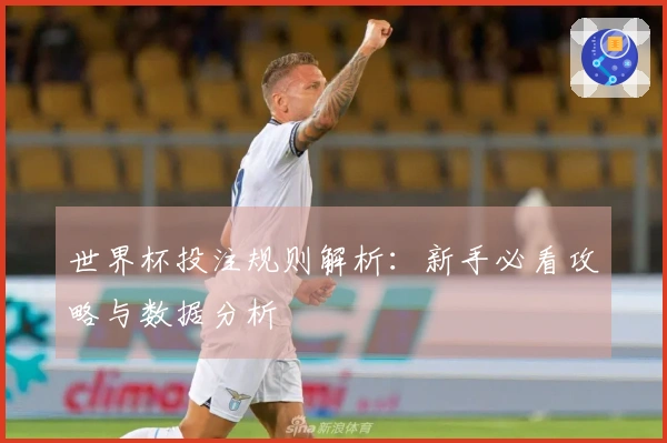 世界杯投注规则解析：新手必看攻略与数据分析
