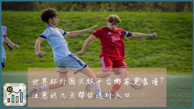 世界杯外围买球平台哪家更靠谱？注意这几点帮你选对入口