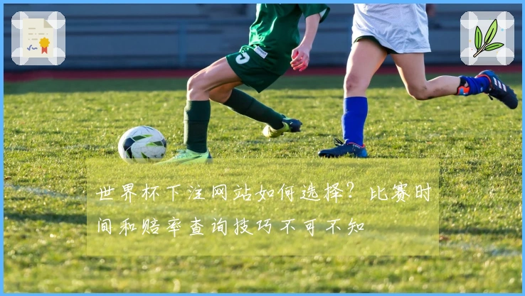 世界杯下注网站如何选择？比赛时间和赔率查询技巧不可不知