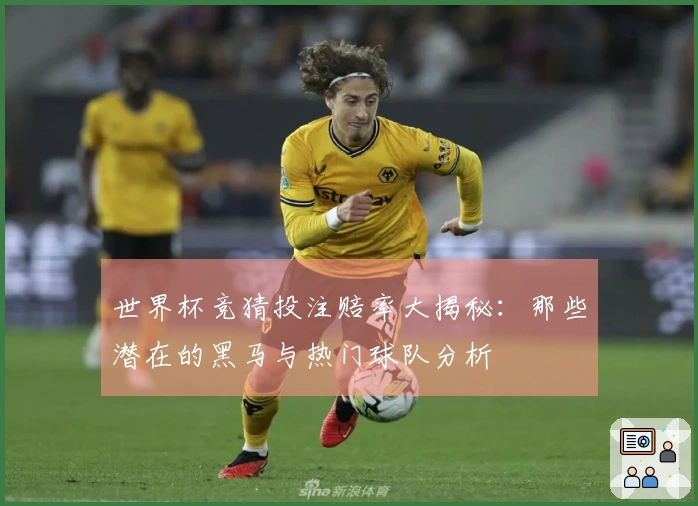 世界杯竞猜投注赔率大揭秘：那些潜在的黑马与热门球队分析