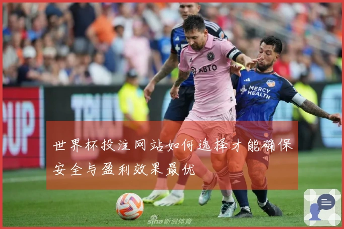 世界杯投注网站如何选择才能确保安全与盈利效果最优