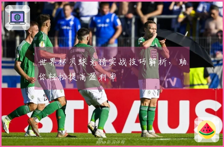 世界杯买球竞猜实战技巧解析，助你轻松提高盈利率