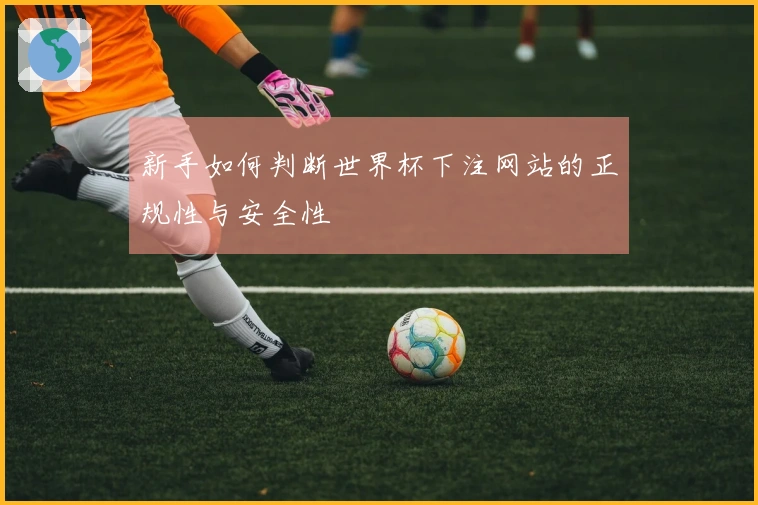 新手如何判断世界杯下注网站的正规性与安全性